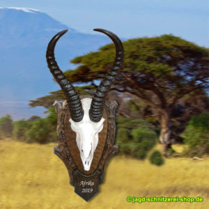 Tropäenbrett-Ast mit-Wappen-für-Afrika-Schädeltrophäen