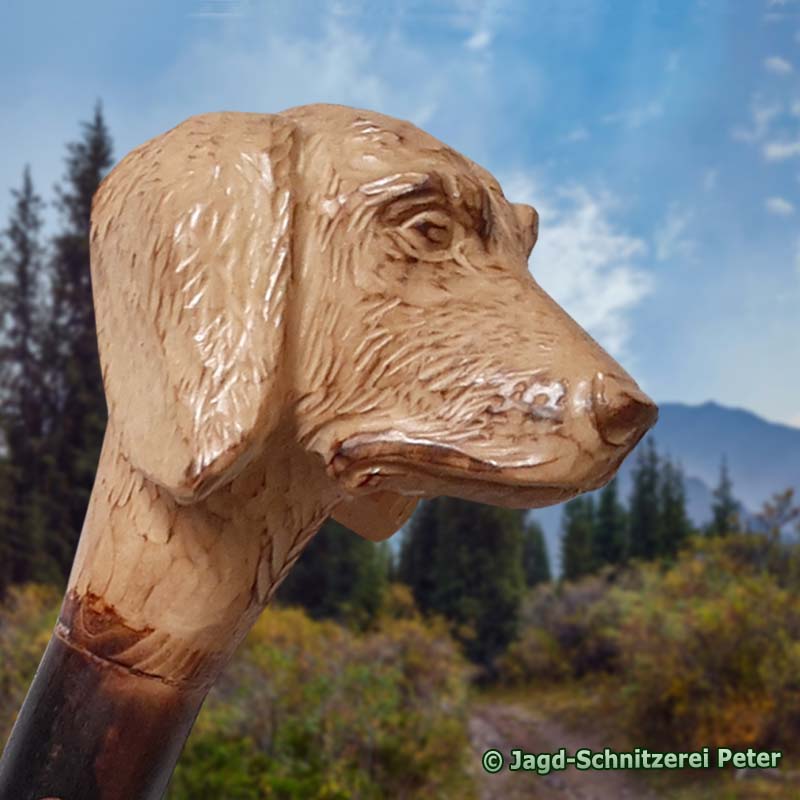 Gehstock Treiberstock Wanderstock Hund mit Labrador Griff Labbi braun aus Holz 